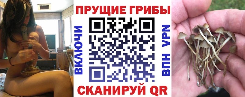 Псилоцибиновые грибы GOLDEN TEACHER  Сычёвка 