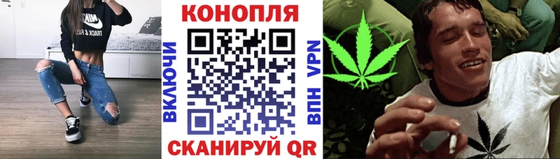 Бошки марихуана гибрид  Сычёвка 